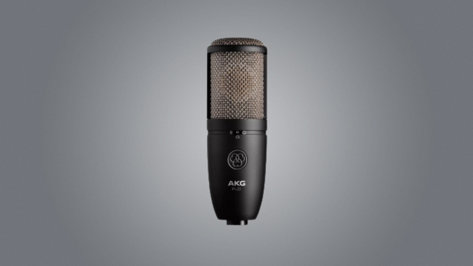 AKG P420 DUAL-CAPSULE TRUE CONDENSER MIC