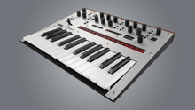 Load image into Gallery viewer, Synthesiser: Korg Monologue - SILVER