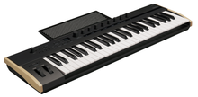 Load image into Gallery viewer, KORG KEYSTAGE 49 NOTE CONTROLLER KEYBOARD