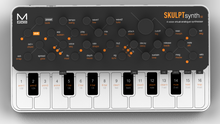 Load image into Gallery viewer, Modal SKULPT SE Synthesizer
